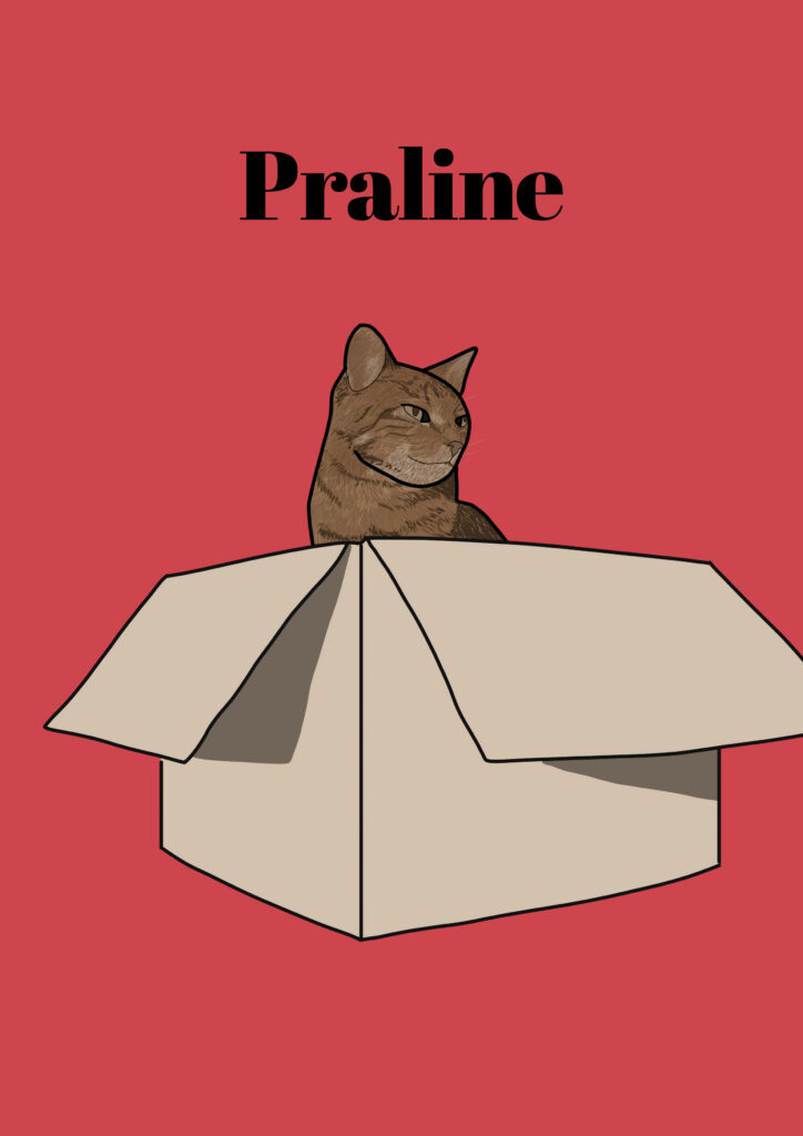 Dessin d'un chat dans un carton