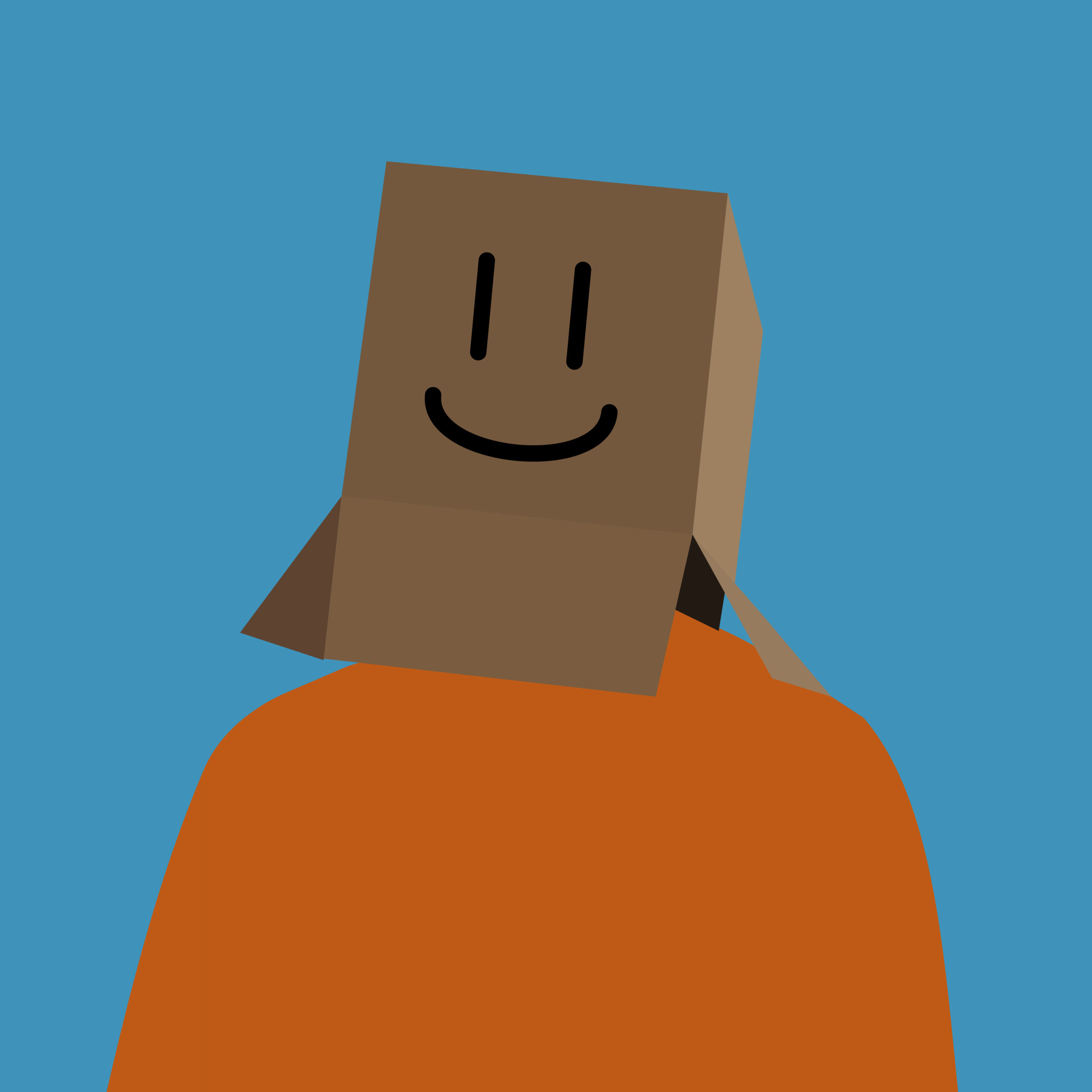Il s'agit de mon avatar avec un carton sur la tête.