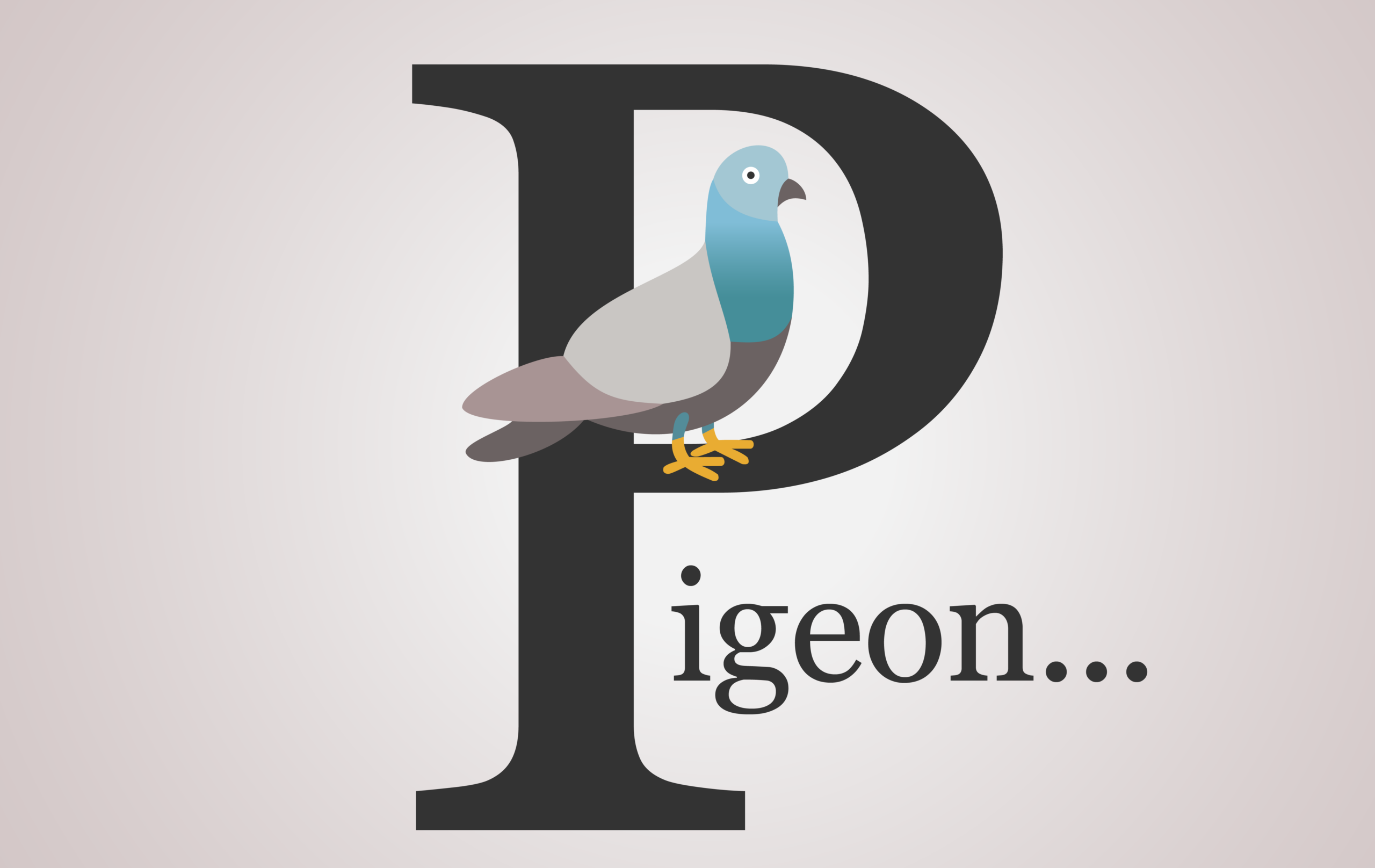 Pigeon