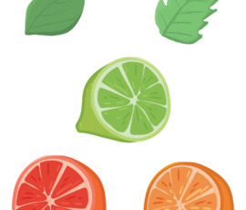 Fruits dessinés pour le projet Kusmi Fruits dessinés pour le projet Kusmi