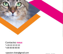 Dos de la brochure donc dernière page Dos de la brochure