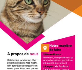 Page intérieure de gauche de la brochure Page intérieure de gauche