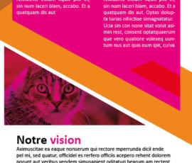 Page intérieure de droite de la brochure Page intérieure de droite de la brochure